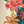Lani Floral Pant