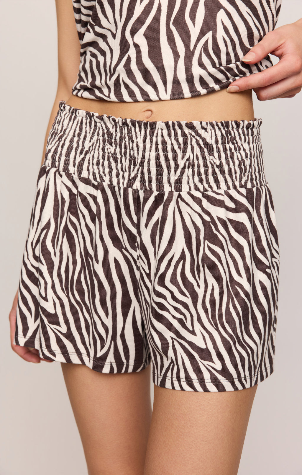 Zebra Set