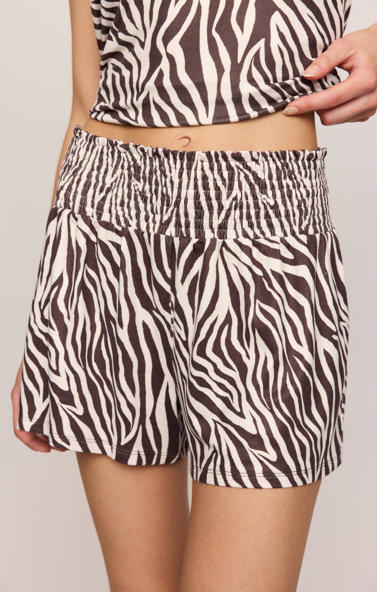 Zebra Set